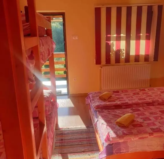 پانسیون Casa Monika Ciocarliei