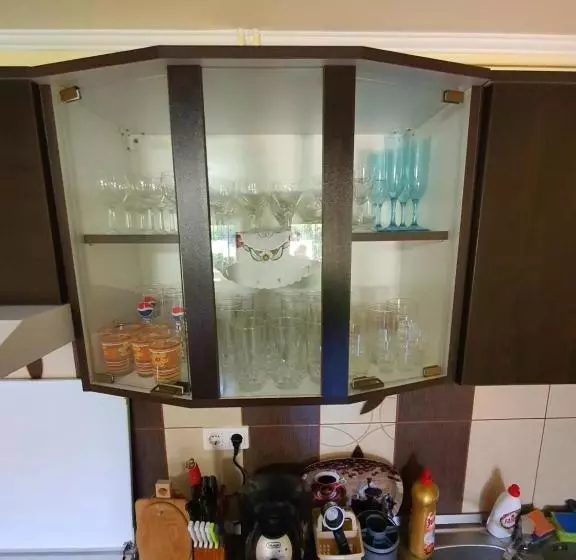 پانسیون Casa Monika Ciocarliei
