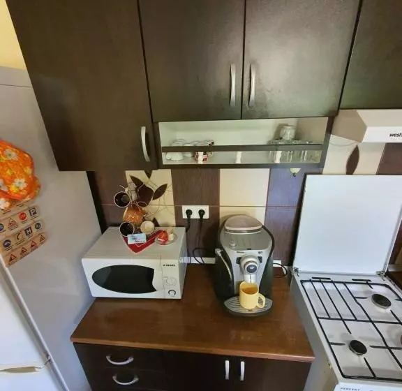 پانسیون Casa Monika Ciocarliei