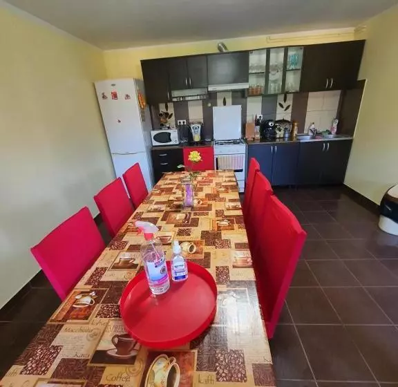 پانسیون Casa Monika Ciocarliei