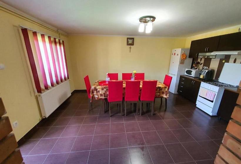 פנסיון Casa Monika Ciocarliei