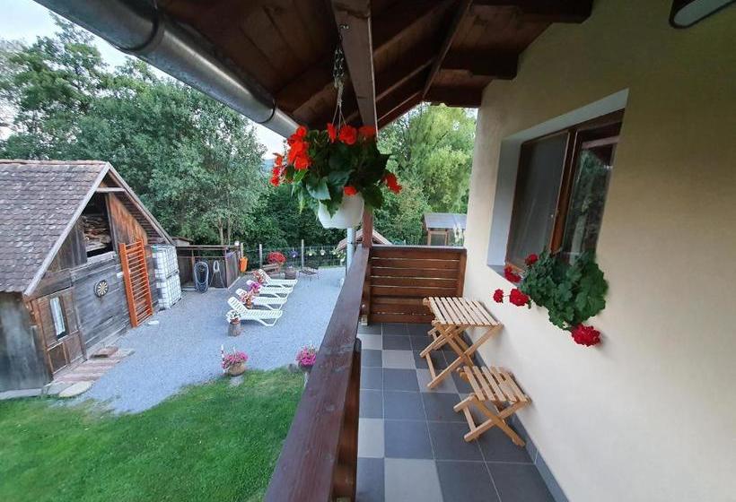 פנסיון Casa Monika Ciocarliei