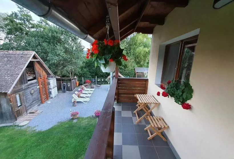 پانسیون Casa Monika Ciocarliei
