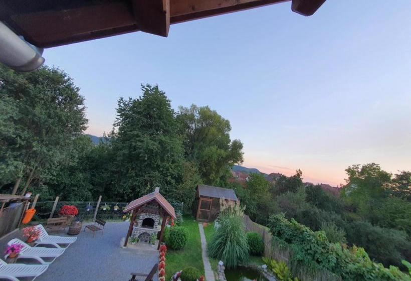 פנסיון Casa Monika Ciocarliei