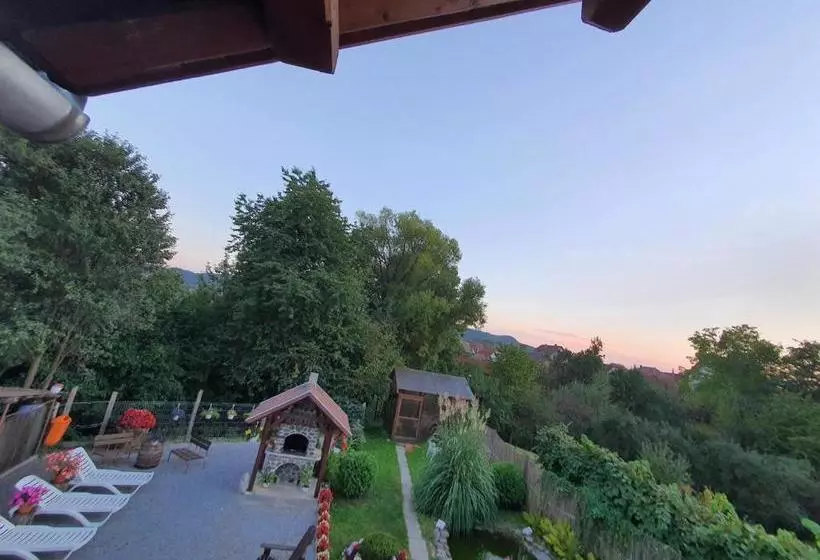 پانسیون Casa Monika Ciocarliei