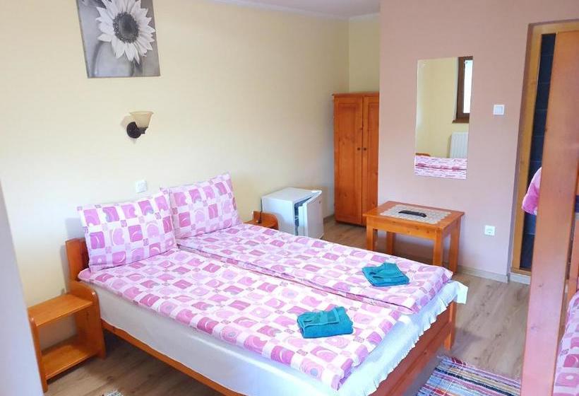 פנסיון Casa Monika Ciocarliei