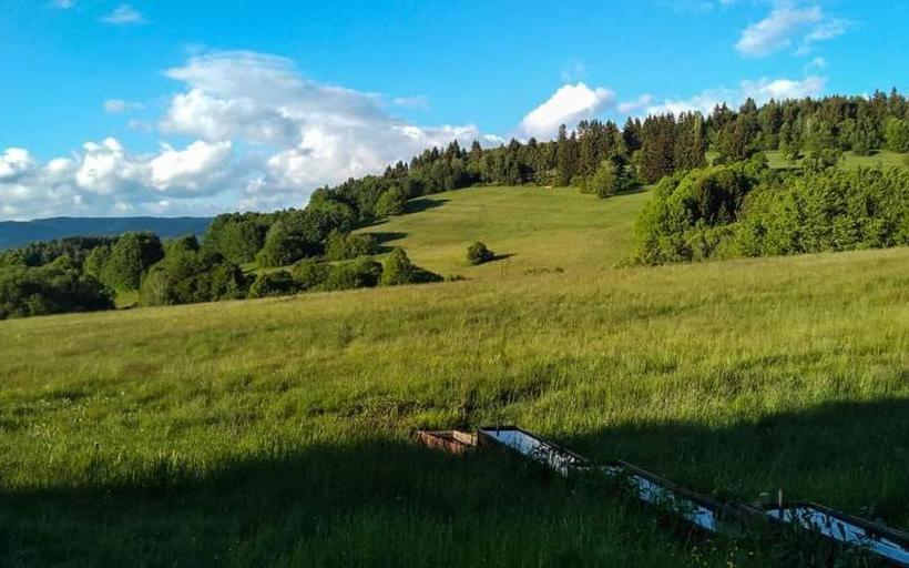 膳宿费 Penzión Amálka