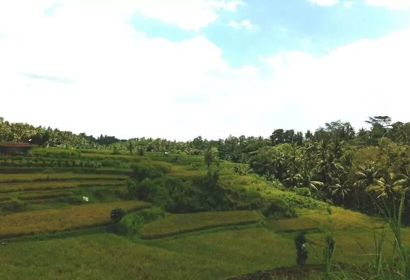 酒店 Villa Semana Resort & Spa