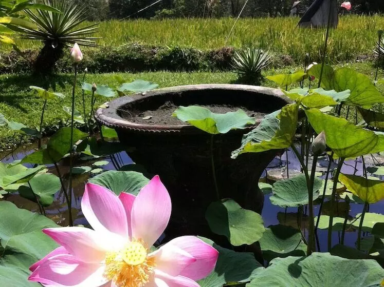 酒店 Villa Semana Resort & Spa