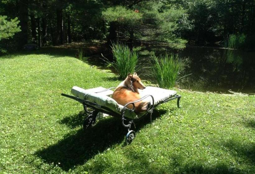 צימר Haddock Hill House