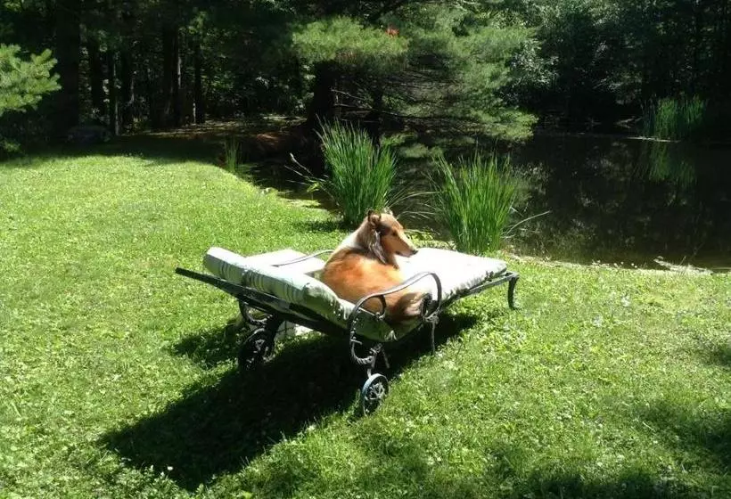 ベッドアンドブレックファースト Haddock Hill House