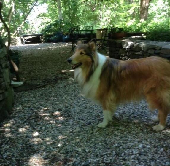 צימר Haddock Hill House