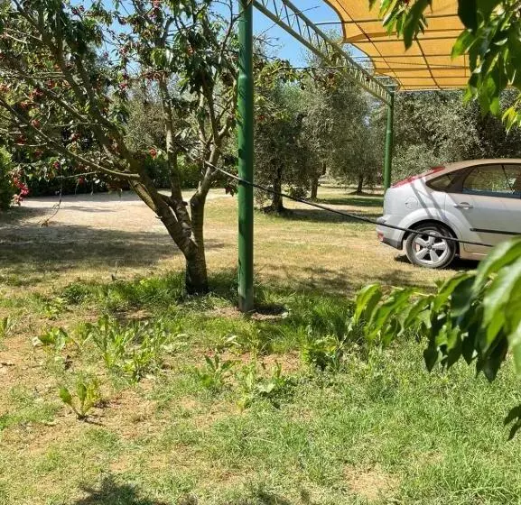 ホテル La Casa Rosa