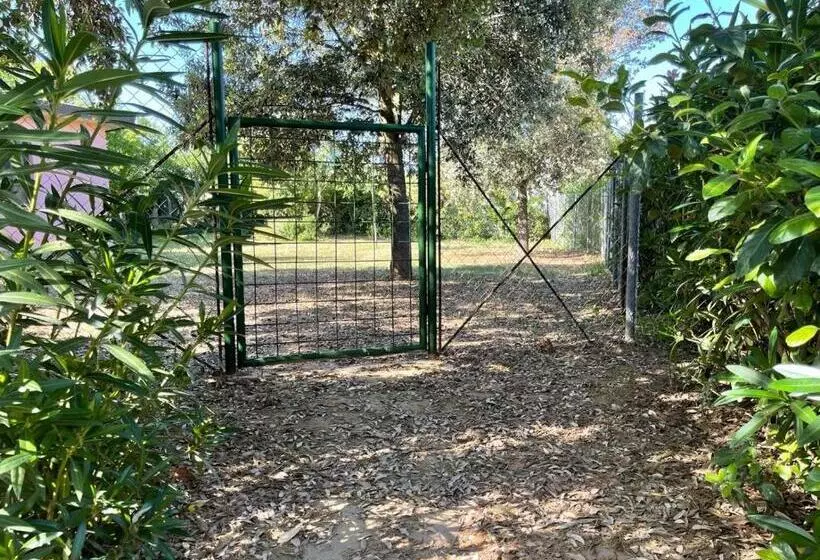 ホテル La Casa Rosa