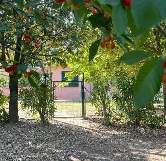 ホテル La Casa Rosa