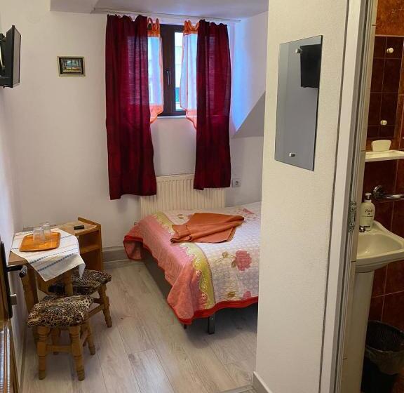 Отель Pensiune Turist