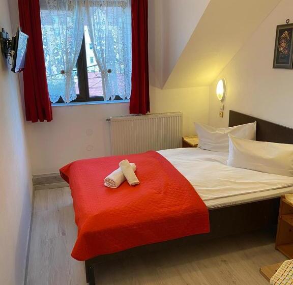 Отель Pensiune Turist