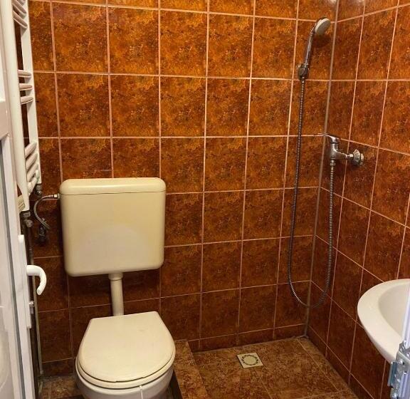 Отель Pensiune Turist