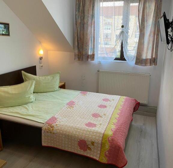 Отель Pensiune Turist