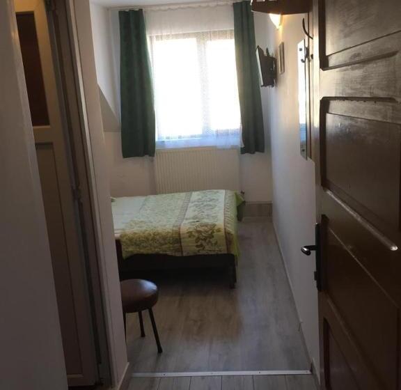 Отель Pensiune Turist