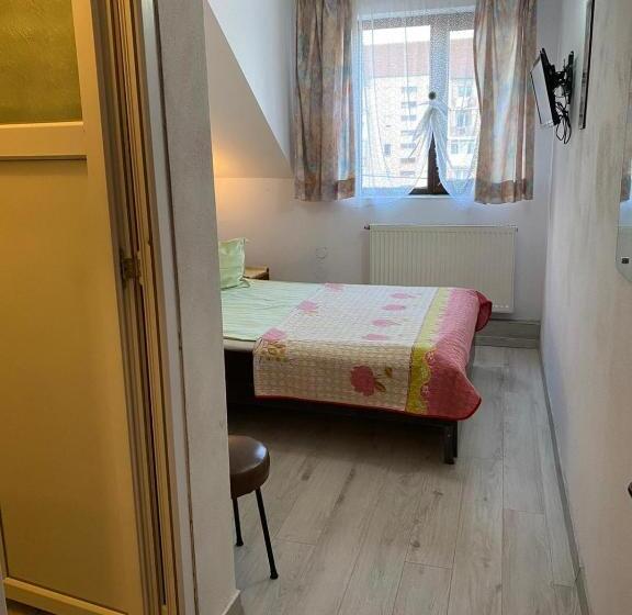 Отель Pensiune Turist