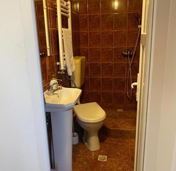 Отель Pensiune Turist