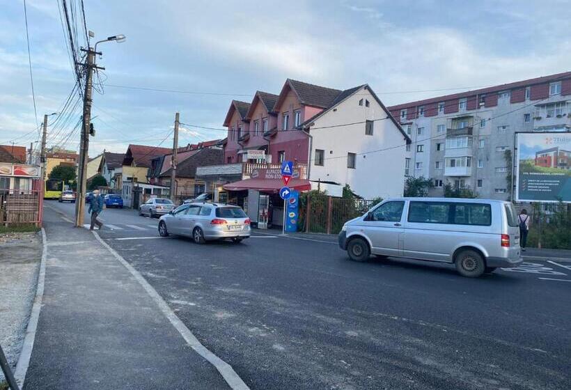 Отель Pensiune Turist