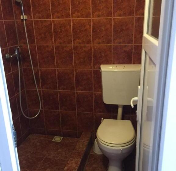 Отель Pensiune Turist