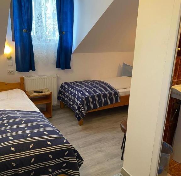 Отель Pensiune Turist