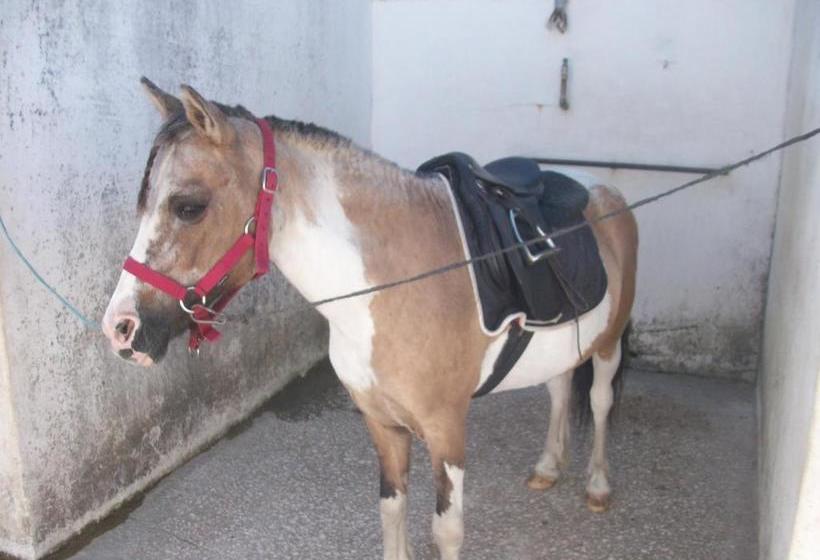 ホテル Quinta Das Rolas   Alojamento Local