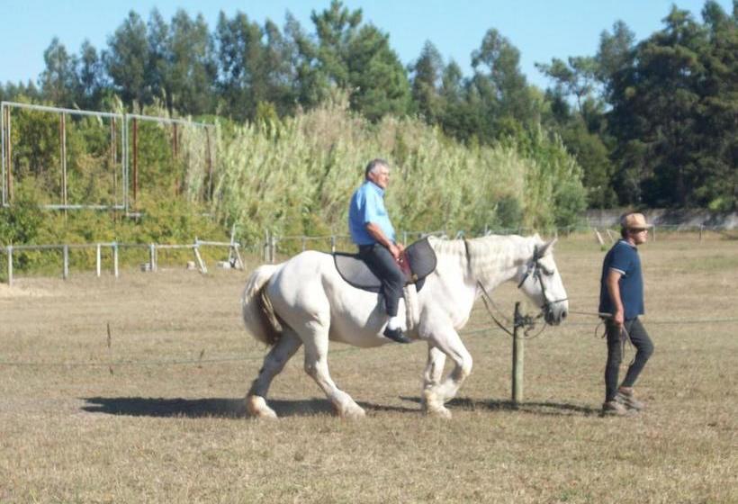 ホテル Quinta Das Rolas   Alojamento Local
