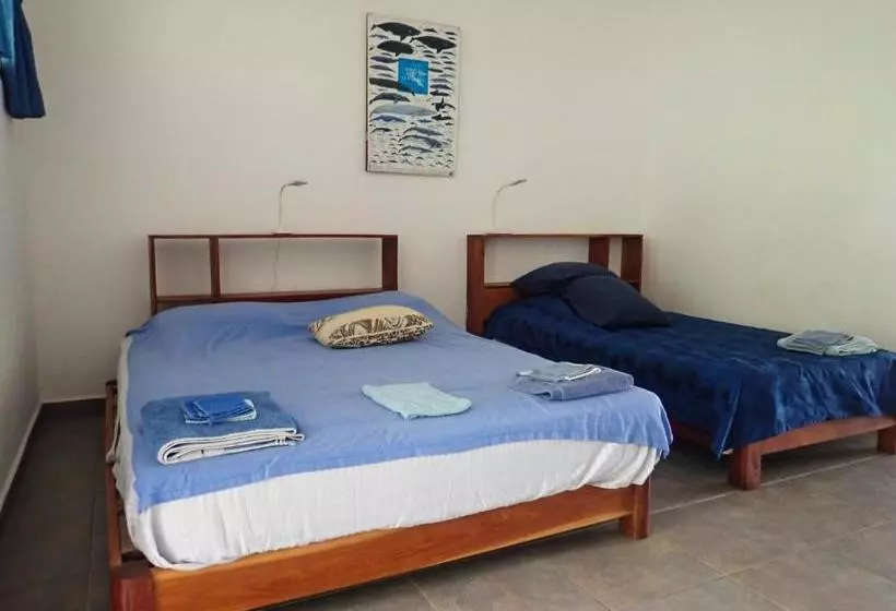 Hotelli Heliconia Panamá