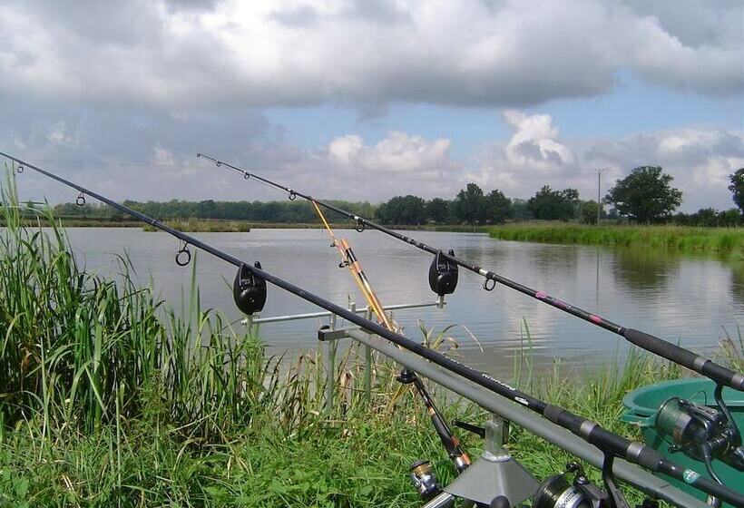 ホテル La Roulotte Des Elfes