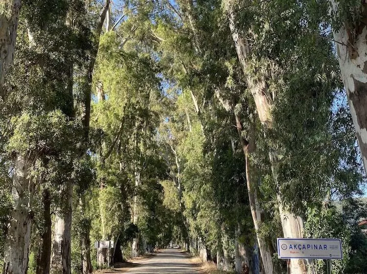 Hotelli Three Palms Suites