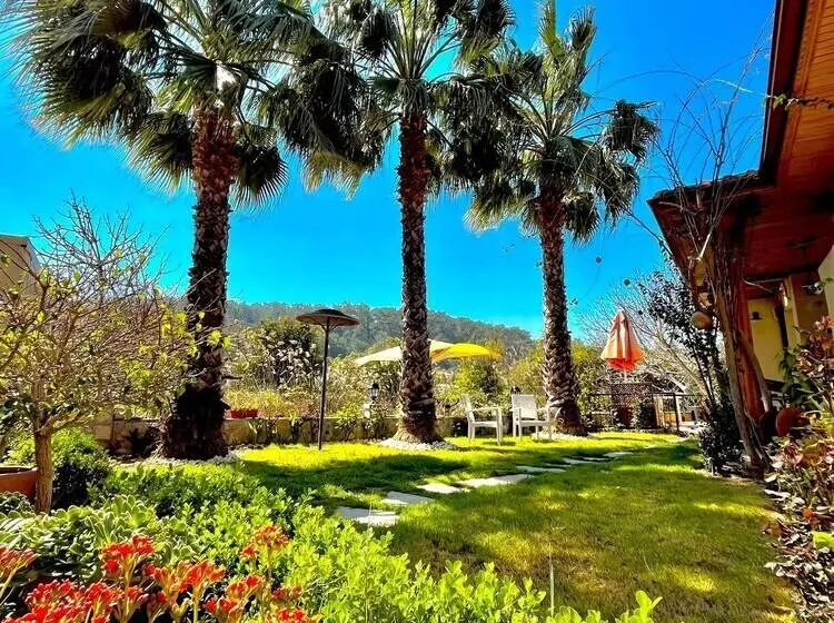 Hotelli Three Palms Suites