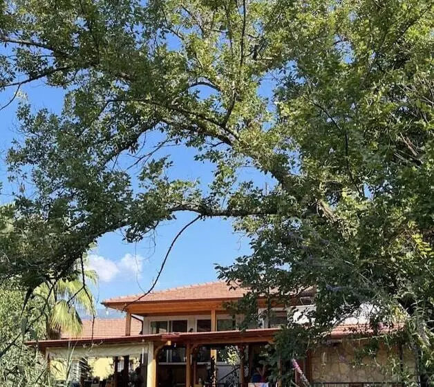 Hotelli Three Palms Suites