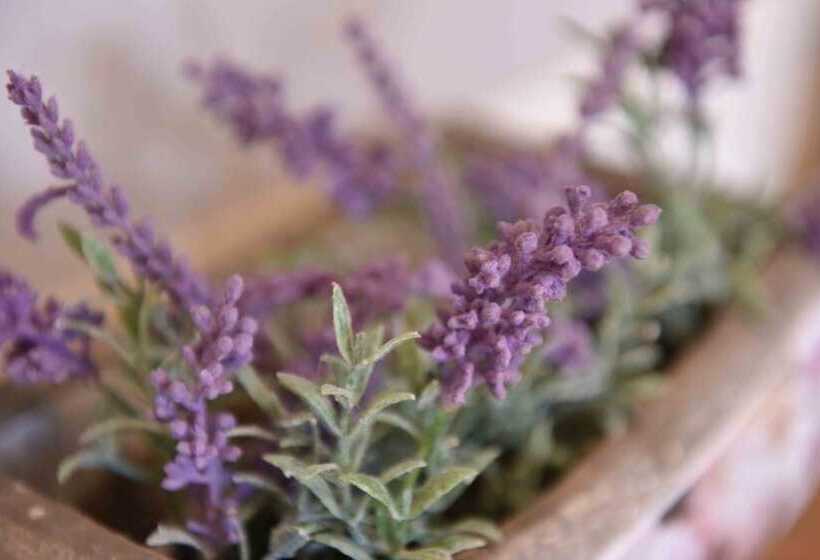 Luxury Cottage Near Windsor Castle