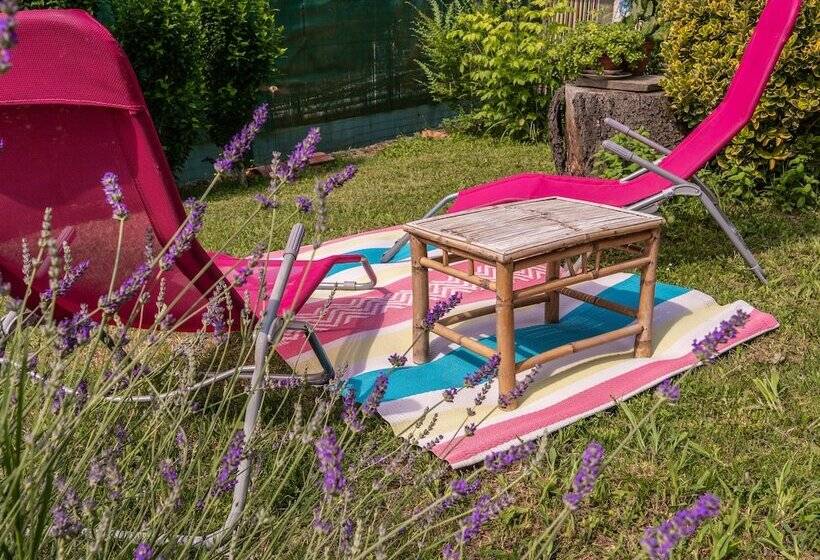 بنسيون Chambre D Hôtes Agnes Et Olivier