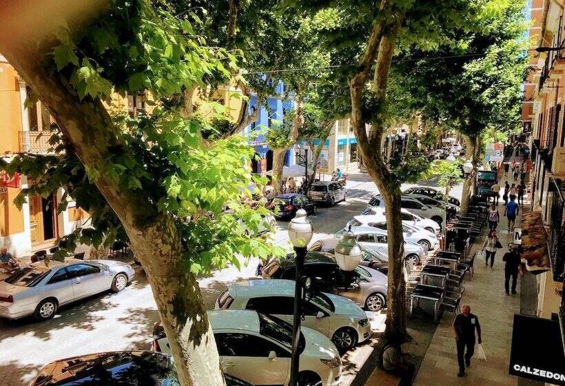 Hostal Marqués Del Campo Hostel