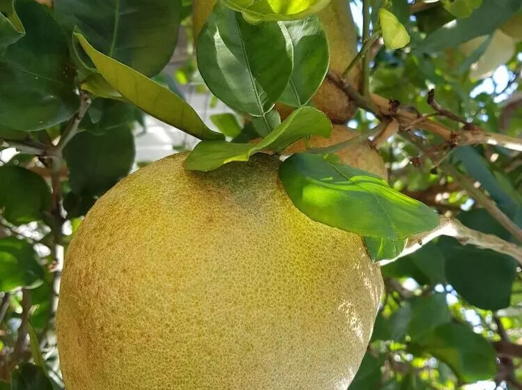 پانسیون La Cariole