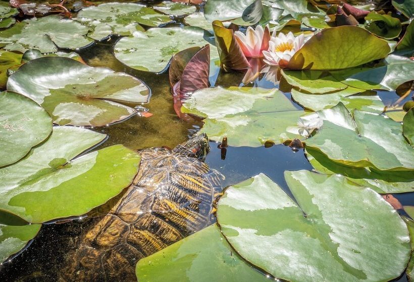 استراحتگاه Hello Côte D Azur
