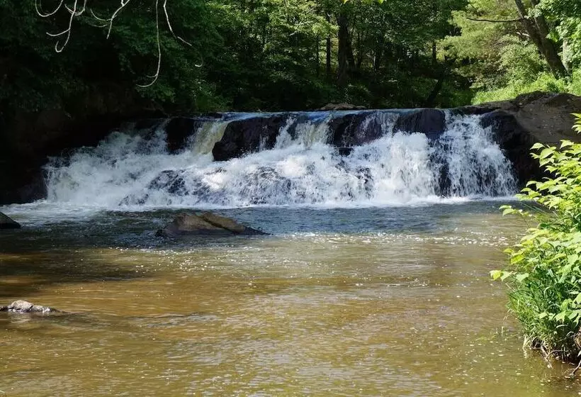The Cabins At Healing Springs