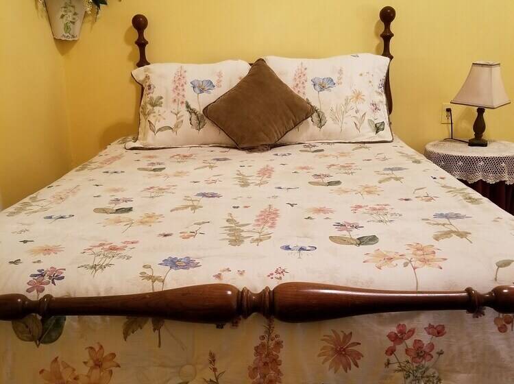 The Cabins At Healing Springs