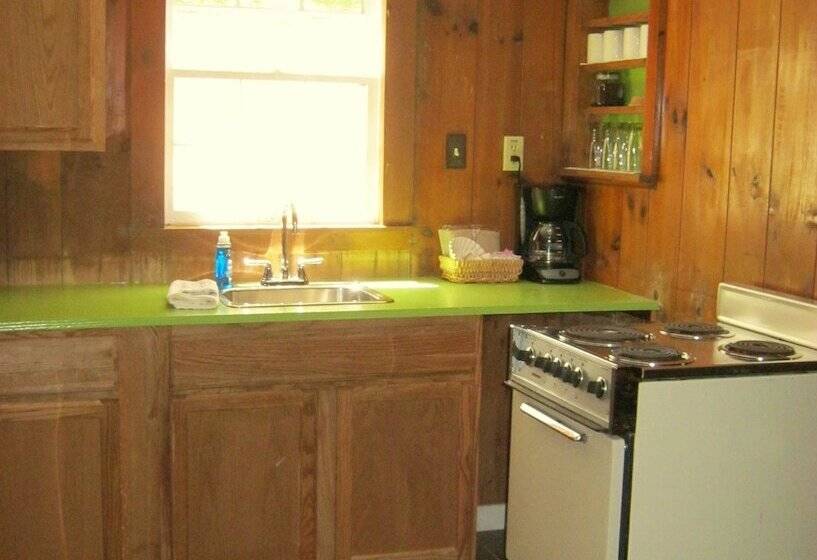 The Cabins At Healing Springs