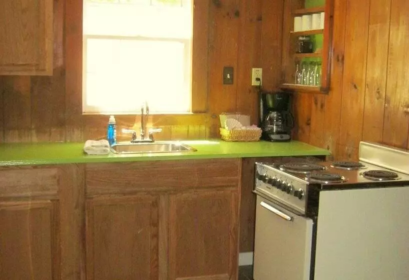 The Cabins At Healing Springs