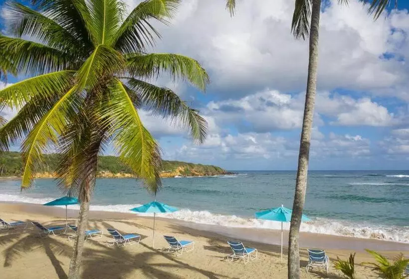 هتل Hyatt Vacation Club At Hacienda Del Mar