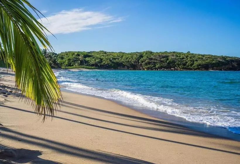 هتل Hyatt Vacation Club At Hacienda Del Mar