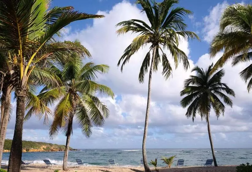 هتل Hyatt Vacation Club At Hacienda Del Mar