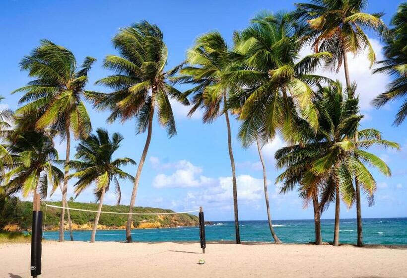 هتل Hyatt Vacation Club At Hacienda Del Mar