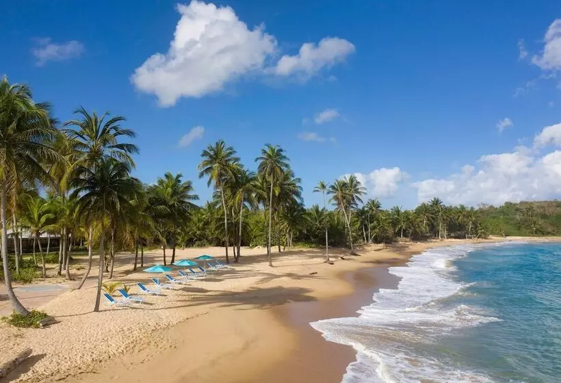 هتل Hyatt Vacation Club At Hacienda Del Mar